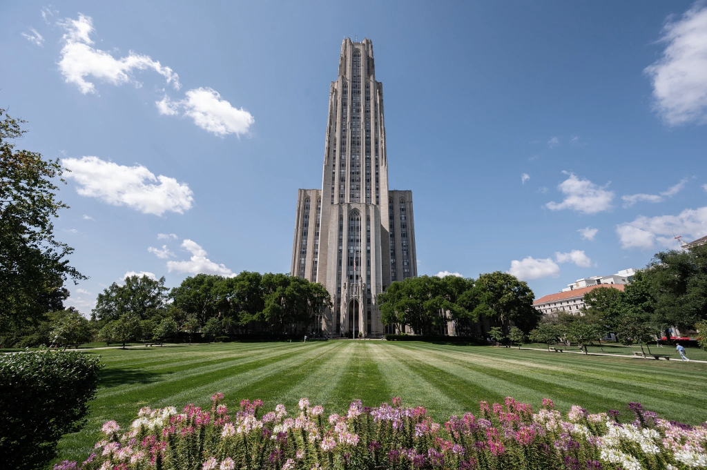 Pitt Panthers Student