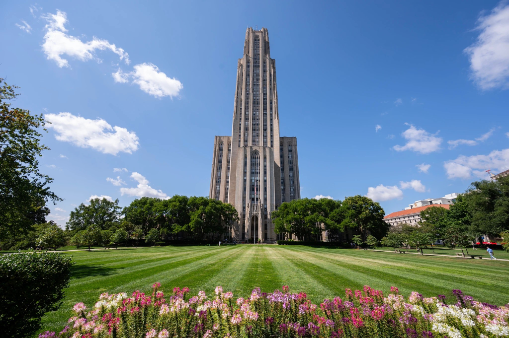 Pitt Panthers