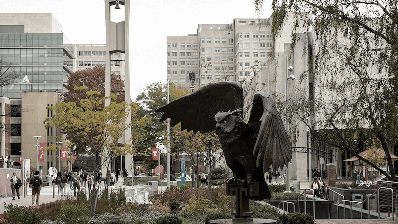Temple Owls Hoodies