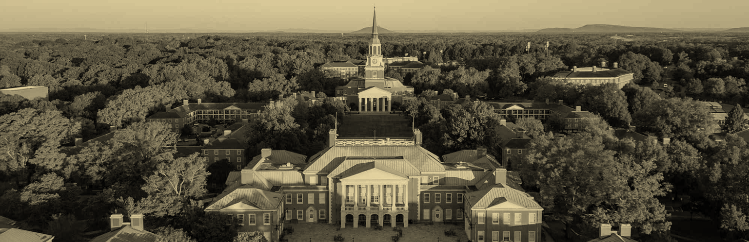 Wake Forest Demon Deacons