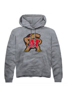 Maryland Terrapins Mens Grey Alt Logo Long Sleeve Hoodie