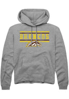 Western Michigan Broncos Youth Grey Bars Long Sleeve Hoodie